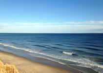ADDITIONAL REASONS TO MAKE IT A MONTAUK GETAWAY