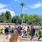 Space Needle