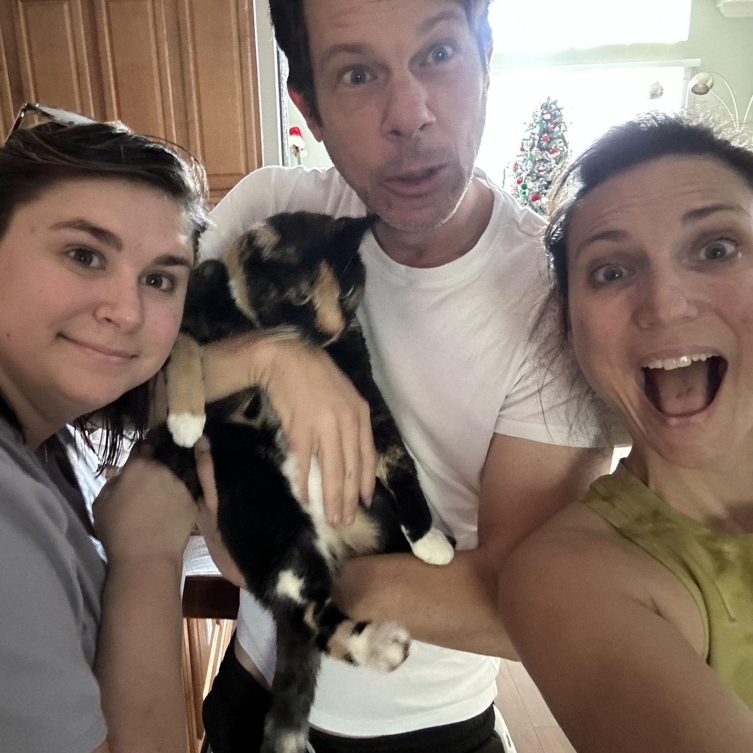 Addy joined our family!