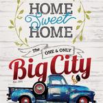 Big City Coffee and Cafe