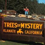 Trees of Mystery