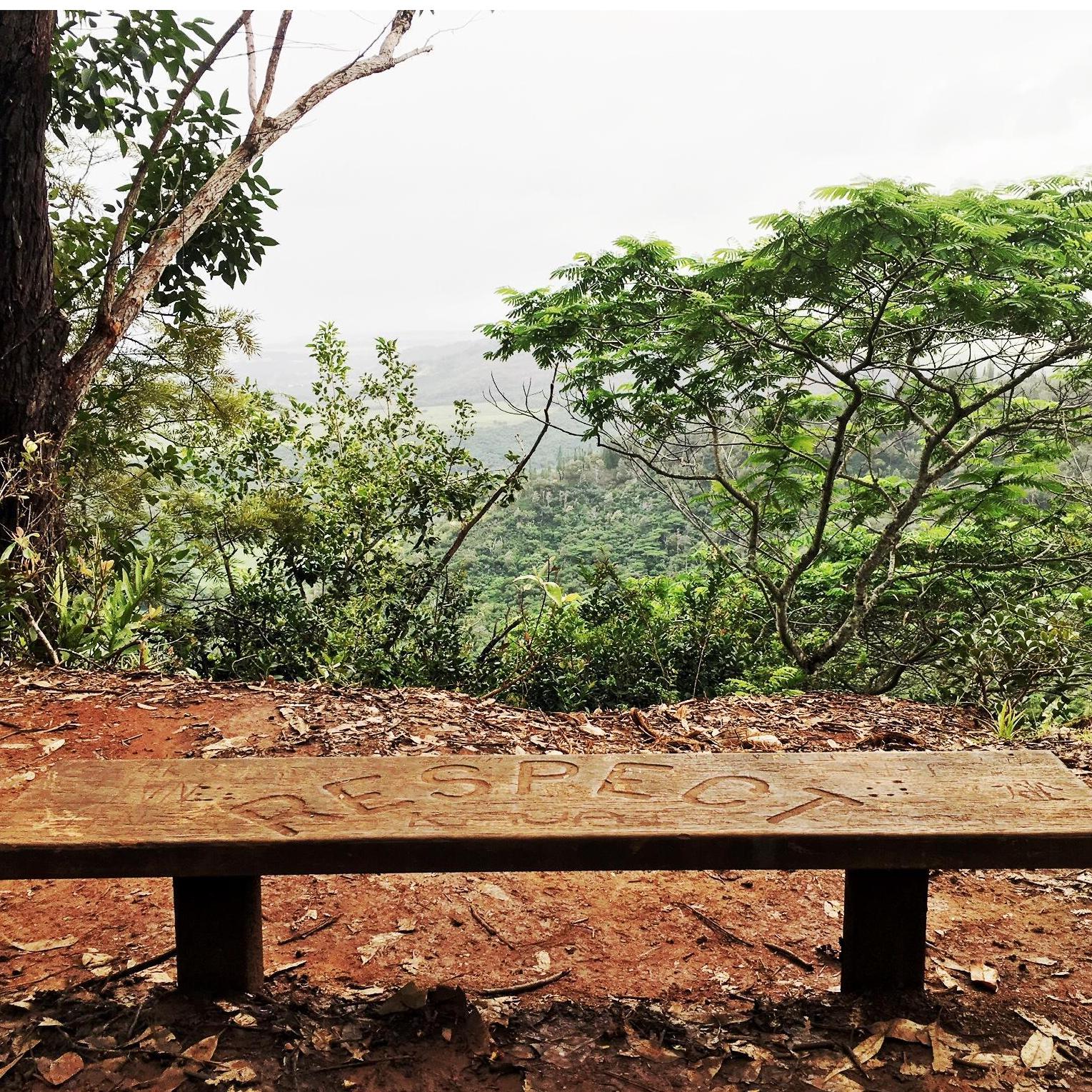 Where he proposed in Kauai, Hawaii