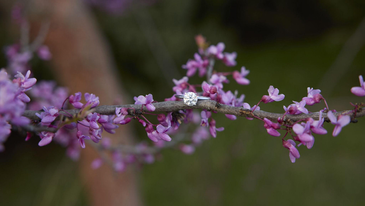The Wedding Website of Brynn Johnson and Andrew Baertsch