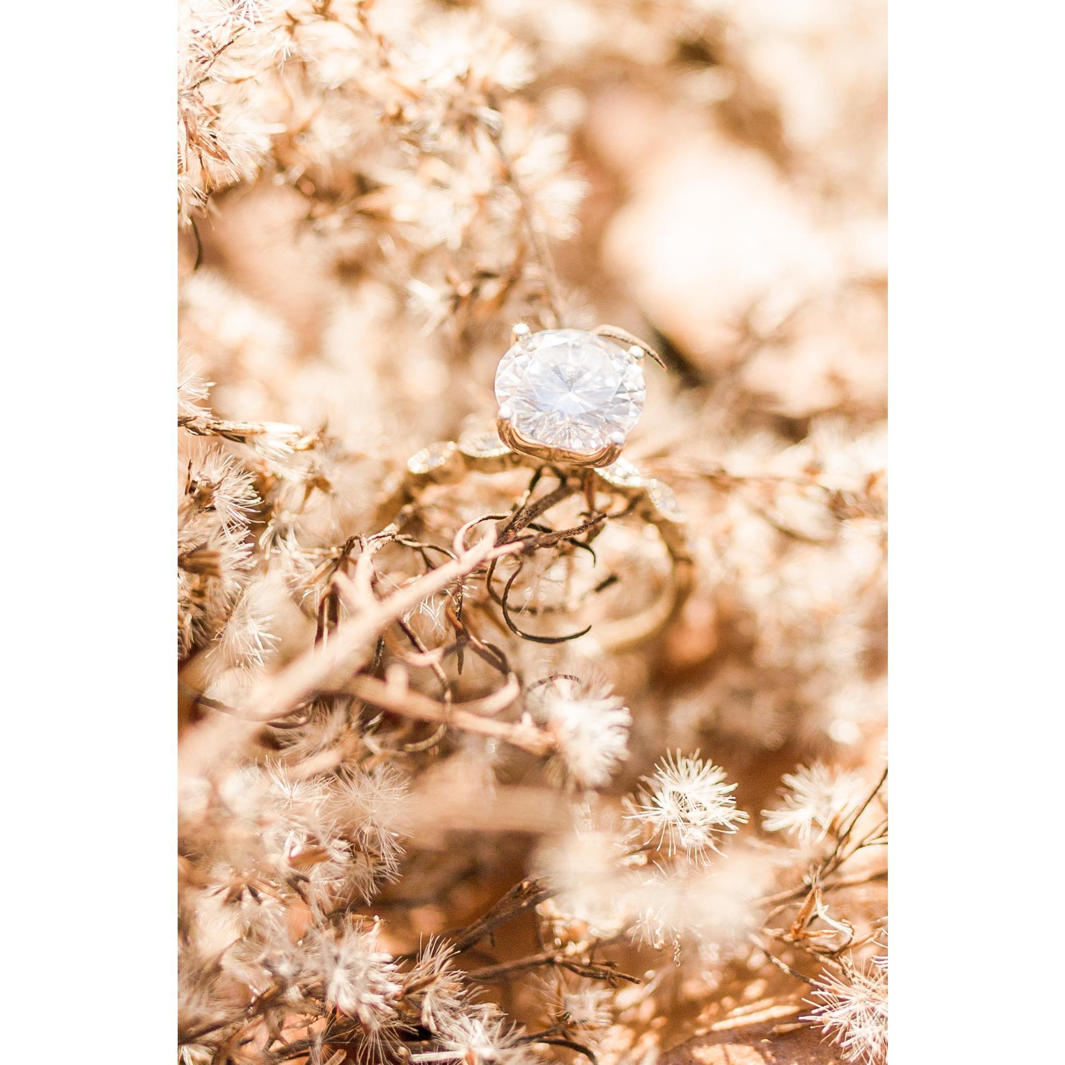 Our engagement session!