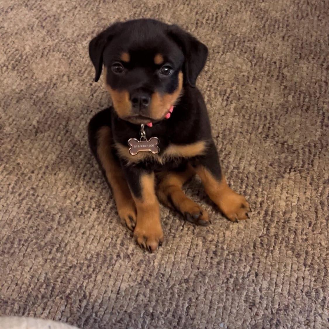 Our baby’s first night home! 
Mollie Jane Saxton