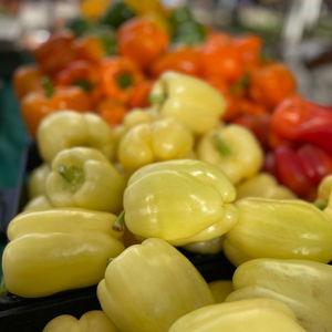 Halal Pastures CSA