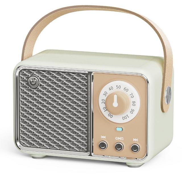 Dosmix Retro Bluetooth Speaker, Vintage Decor, Wireless Bluetooth Speakers, Cute Old Fashion Style for Kitchen Desk Bedroom Office Party Outdoor Kawaii Accessories (Smoke Green)