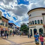 Disney Springs
