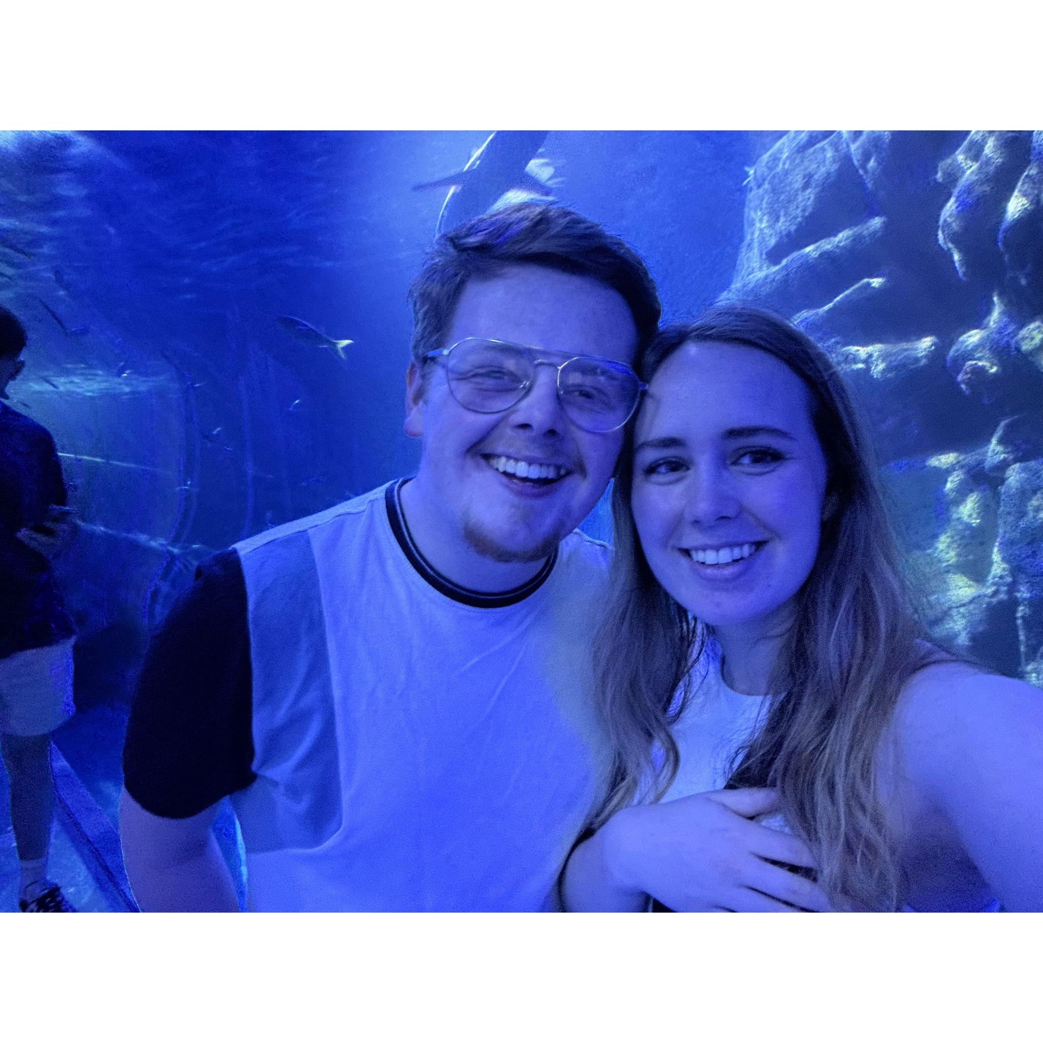 Birmingham Sea Life Centre - June 2023