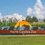 North Carolina Zoo