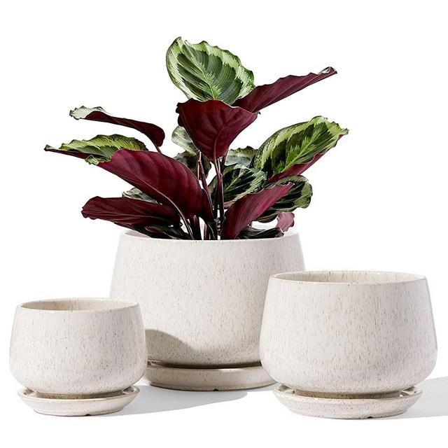LE TAUCI Plant Pots with Drainage Holes and Saucers, 4.1" & 5.1" & 6.5" Ceramic Pots for Plants, Planters Indoor Plants - Small to Large Sized, Set of 3, Reactive Glaze Beige