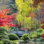 Fort Worth Botanic Garden
