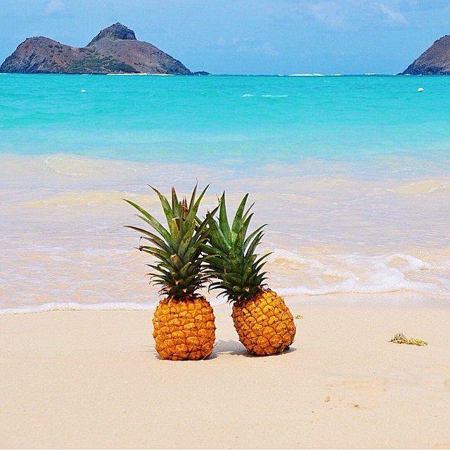 4f763d0f-9276-458c-97f8-3c9d203c4469