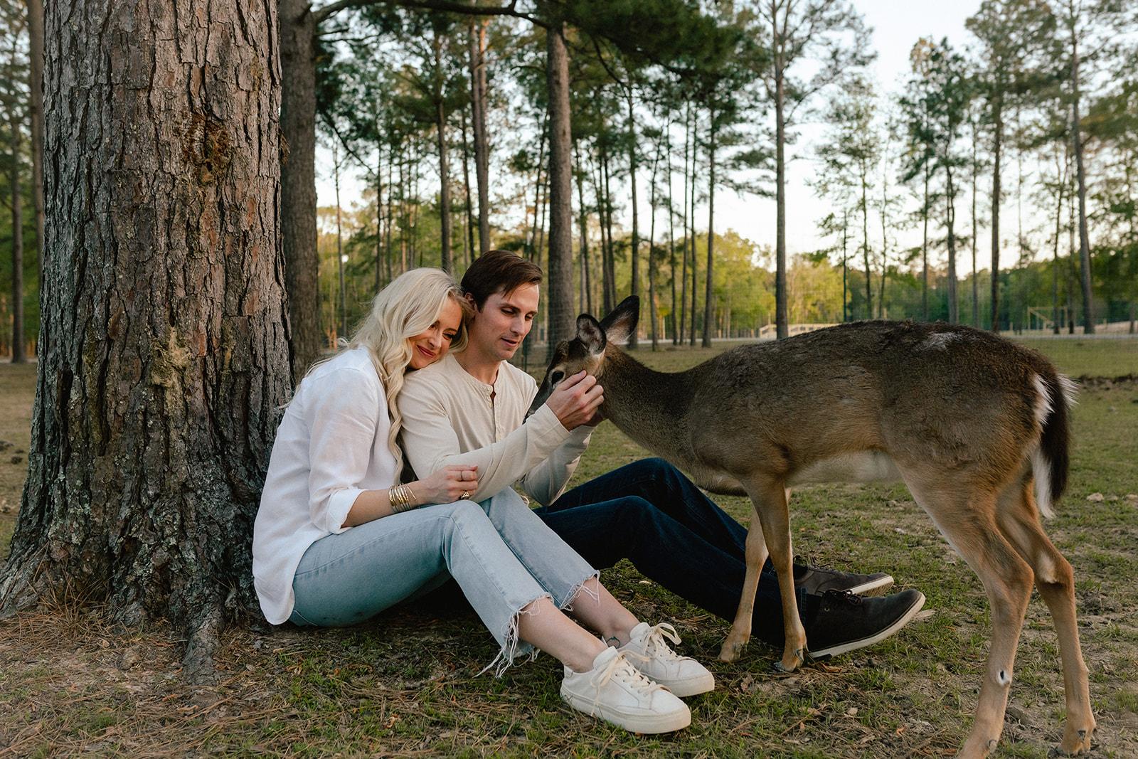 The Wedding Website of Sarah Ahrens and Justin Montreuil
