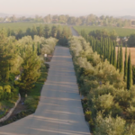 Wine Tasting at Carter Estate Winery and Resort