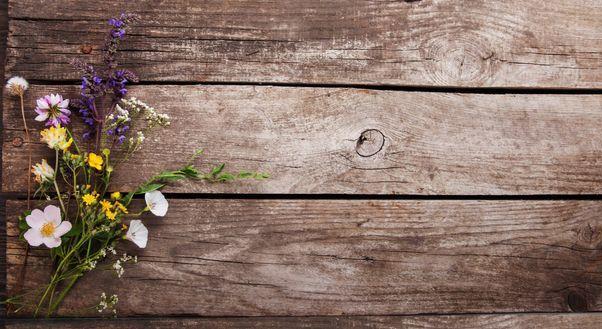 Footer image
