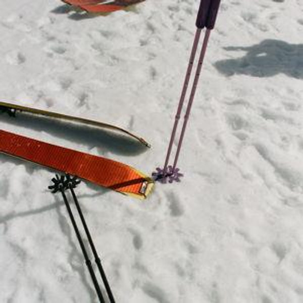Backcountry Skis Fund