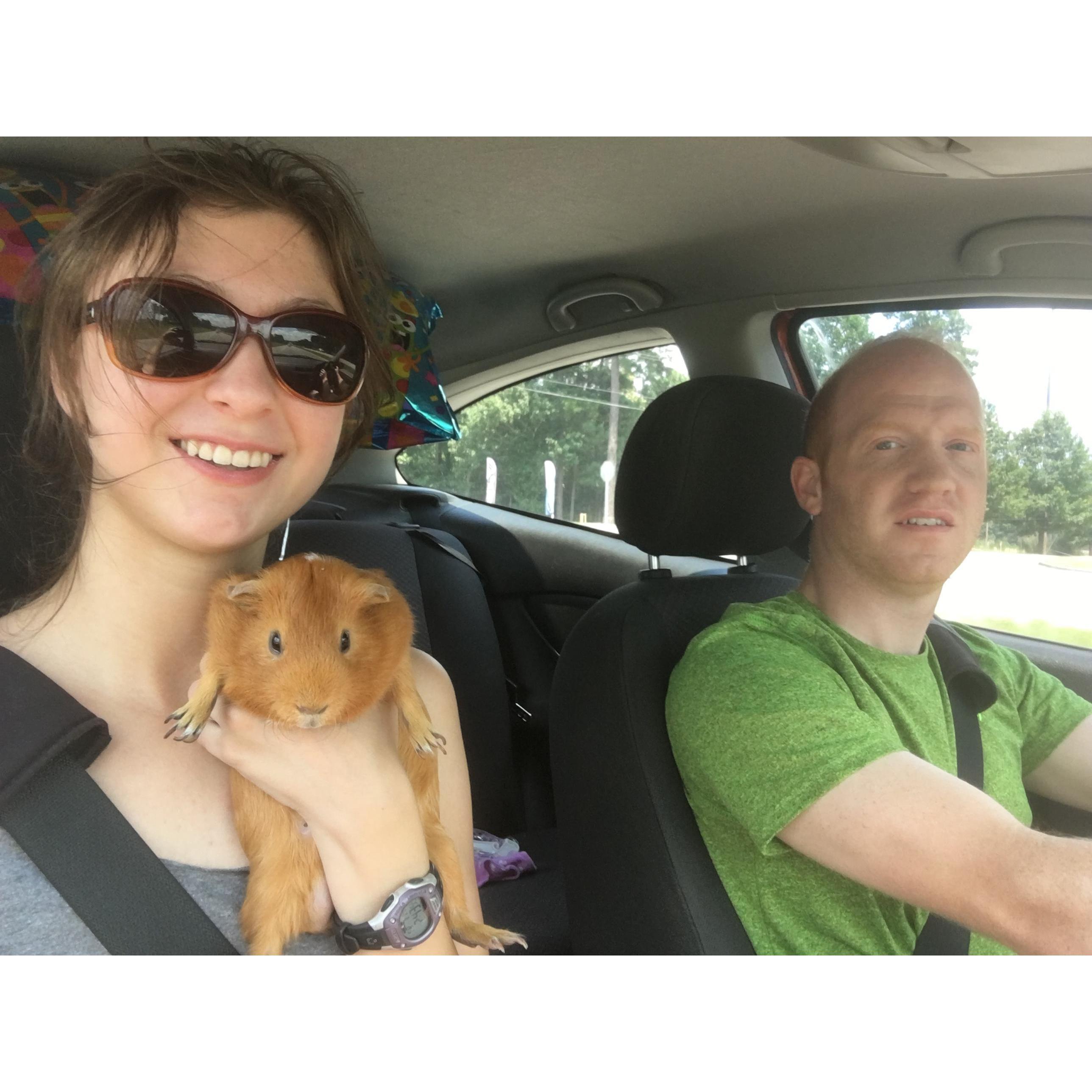 Taking Harvey home after returning from Maine