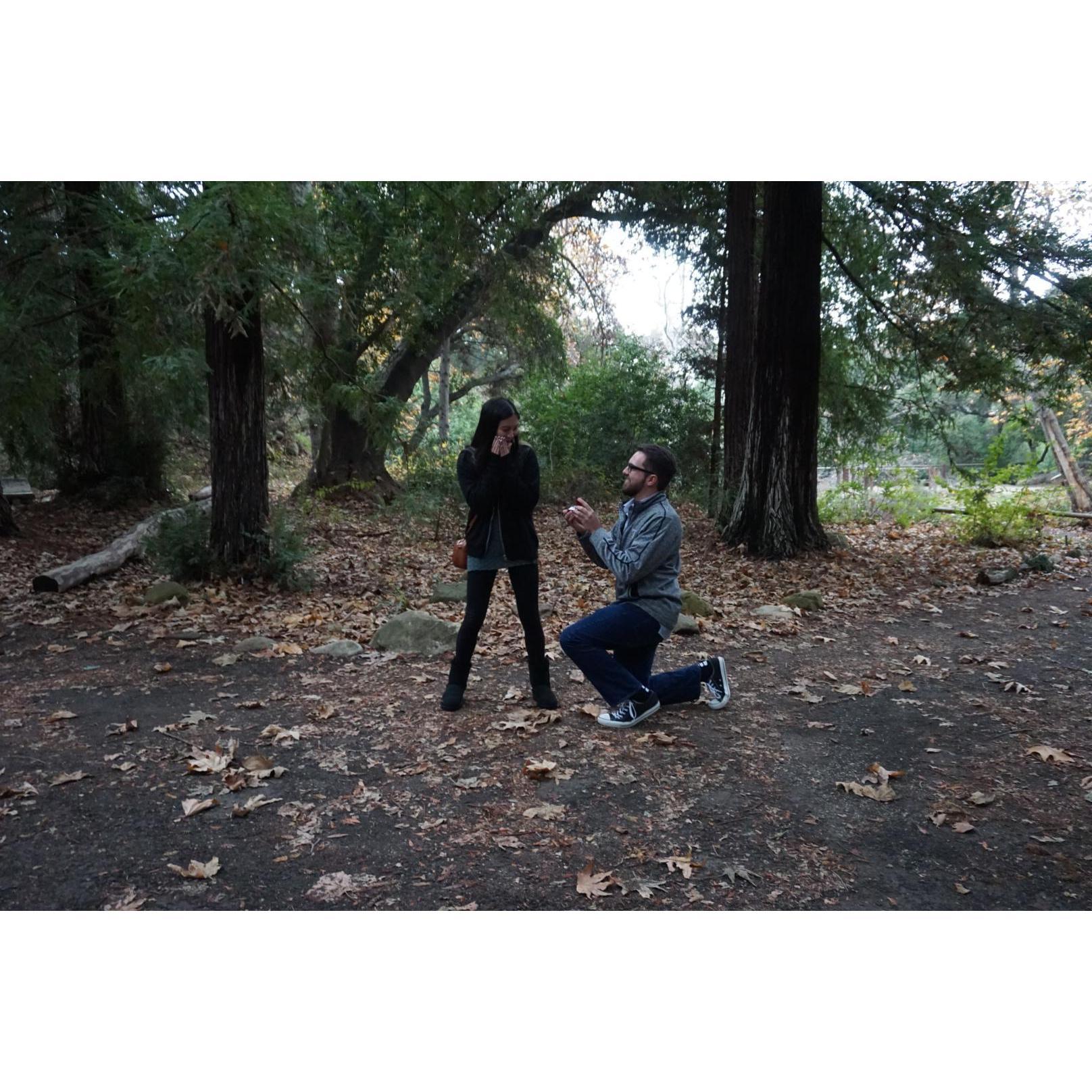 Kyle pops THE question!