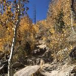 MT ELDEN LOOKOUT TRAIL (FLAGSTAFF)