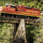 The Skunk Train & Rail Bikes