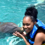 Swim with the Dolphins