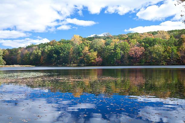 The Wedding Website of Raegan Knox and Miles McCarthy