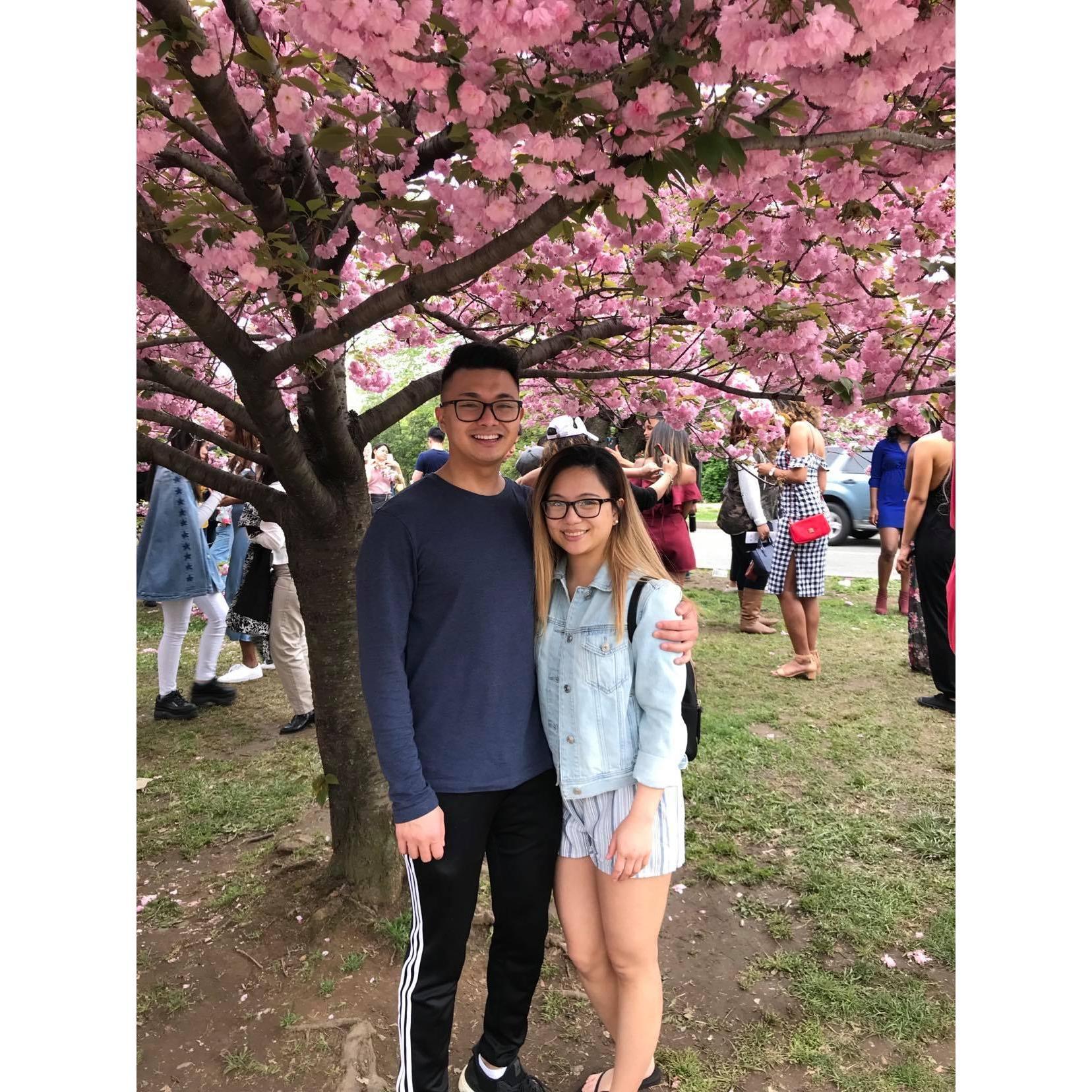 4/13/19 - Cherry Blossoms in Washington DC