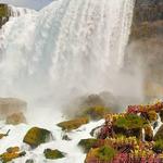 Niagara Falls State Park
