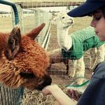 Crescent Moon Ranch