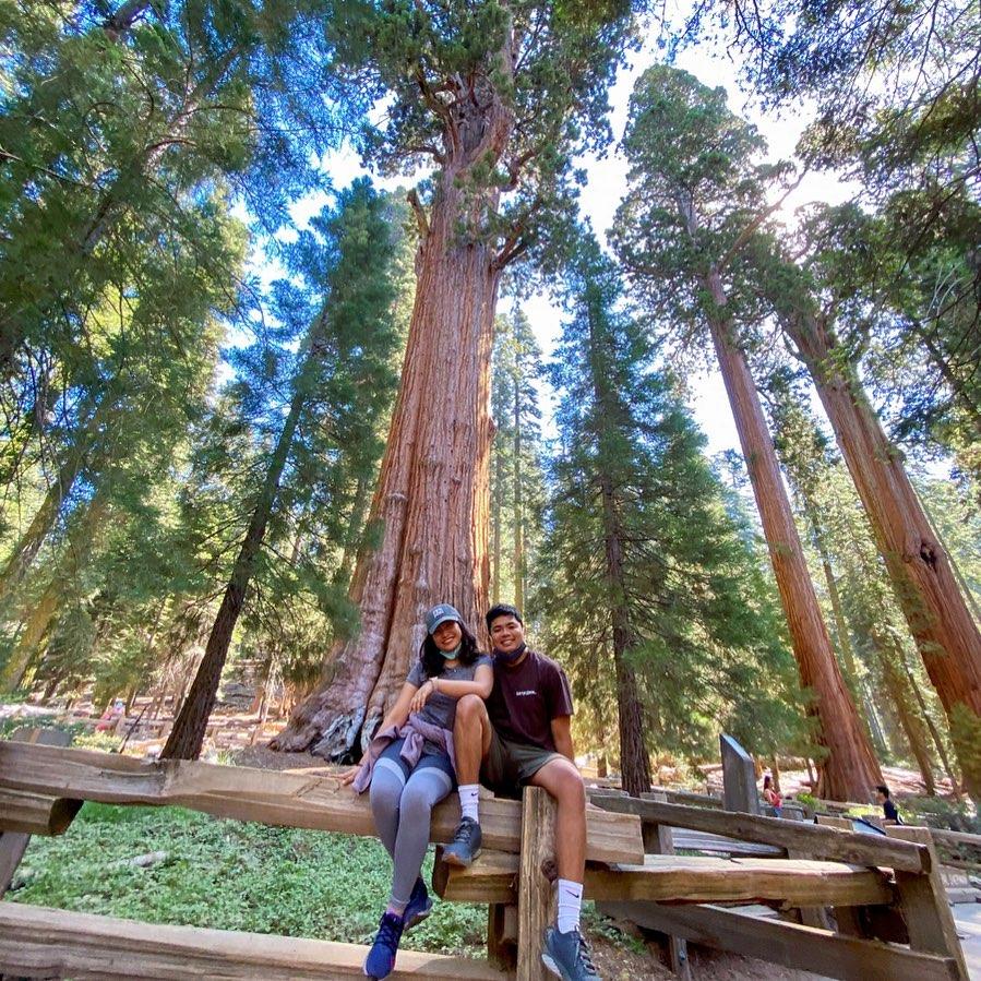General Sherman: Biggest tree on earth. The one that started our love for national-park hopping! [Sequoia NP]