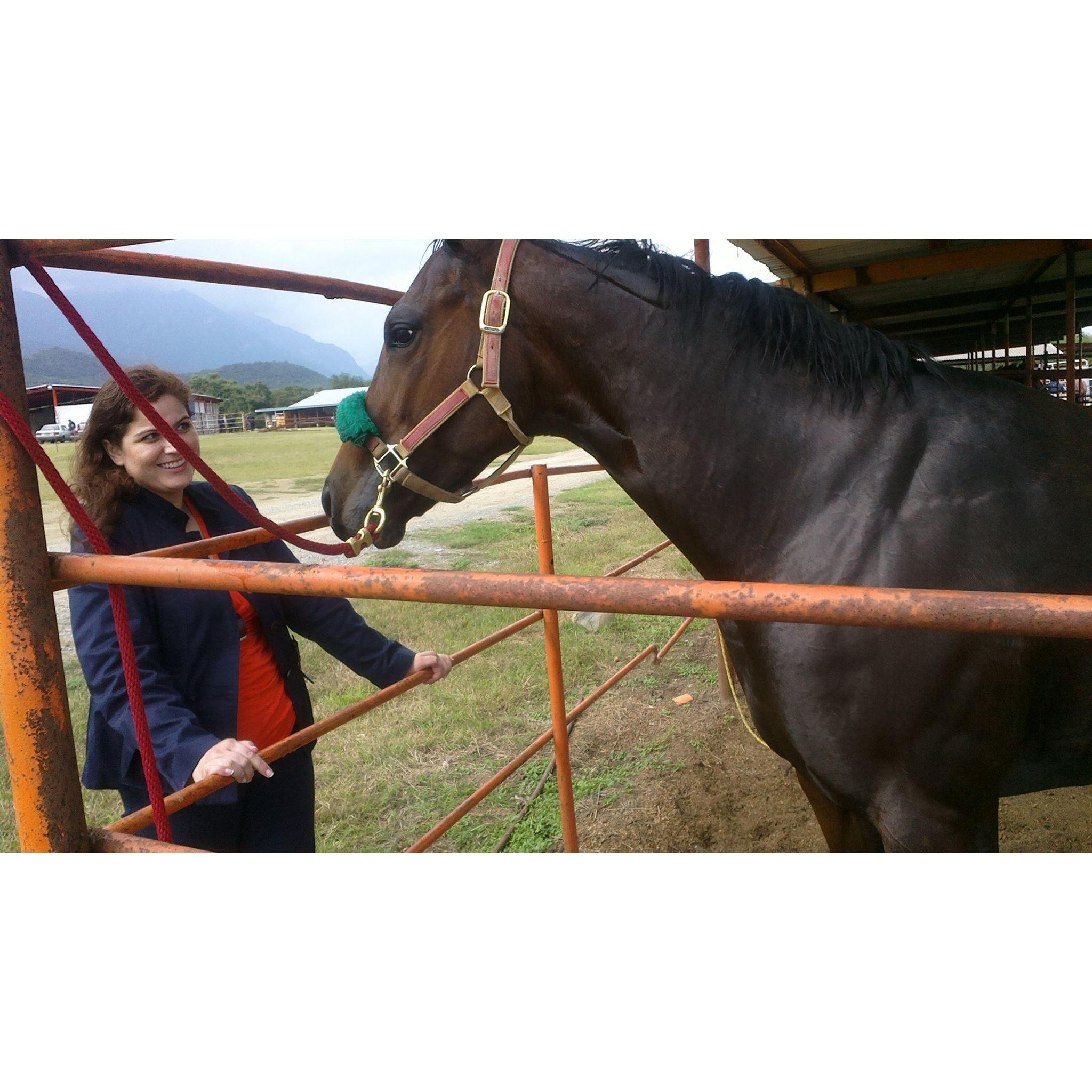 En las carreras de caballos de El Texano Downs. 6 de diciembre del 2015