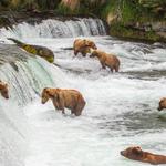 Katmai National Park