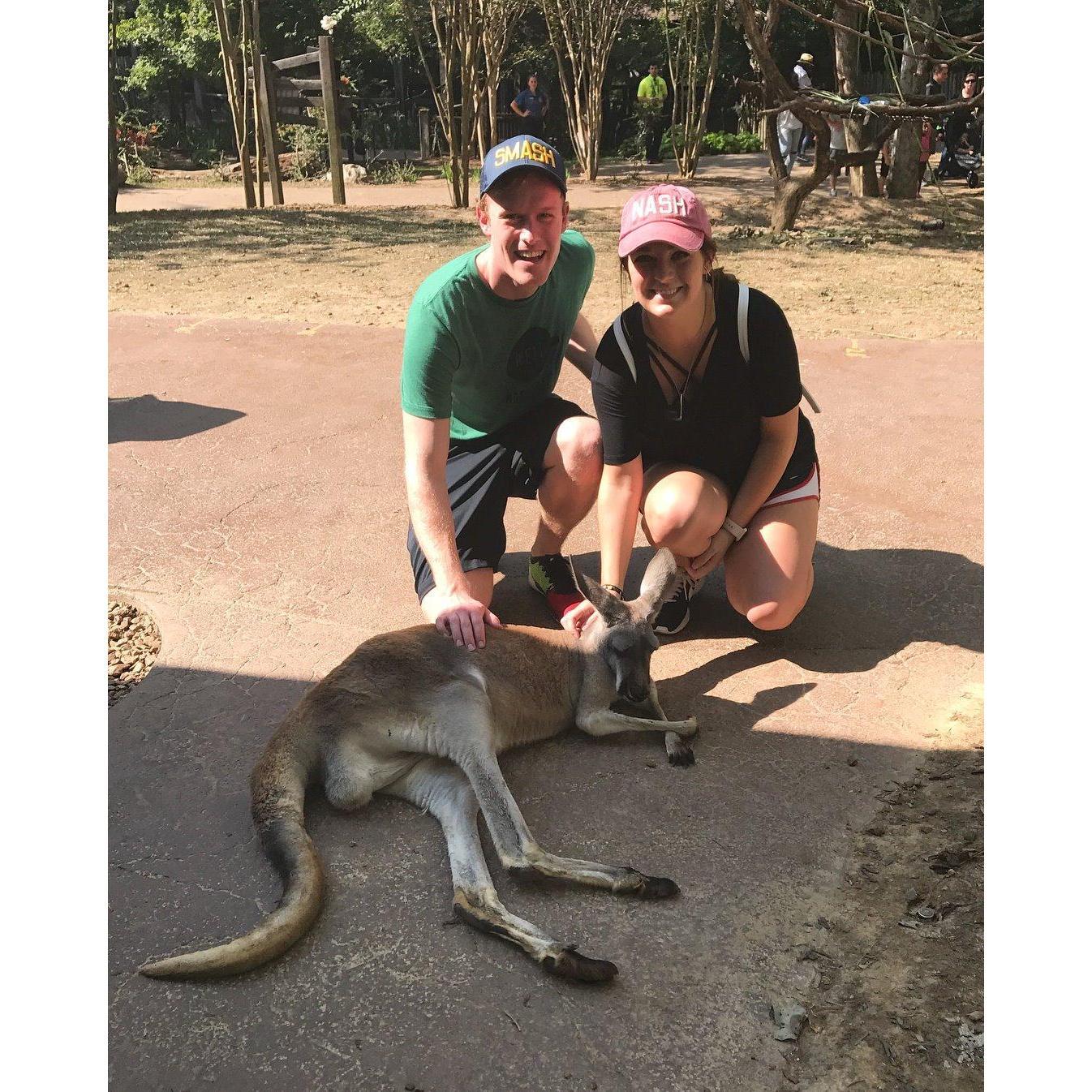 Zoo