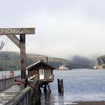 Nick's Cove