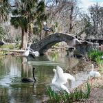 City Park