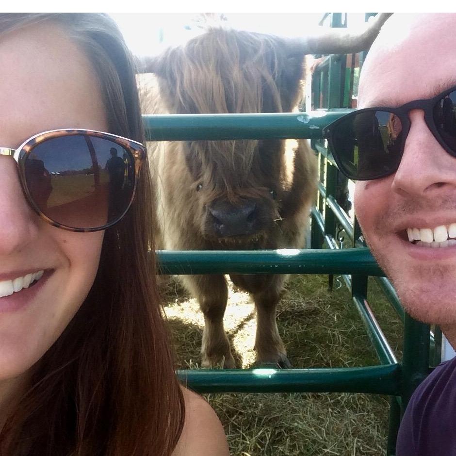 Once we meet a Scottish Highland cow and it was the best day ever.