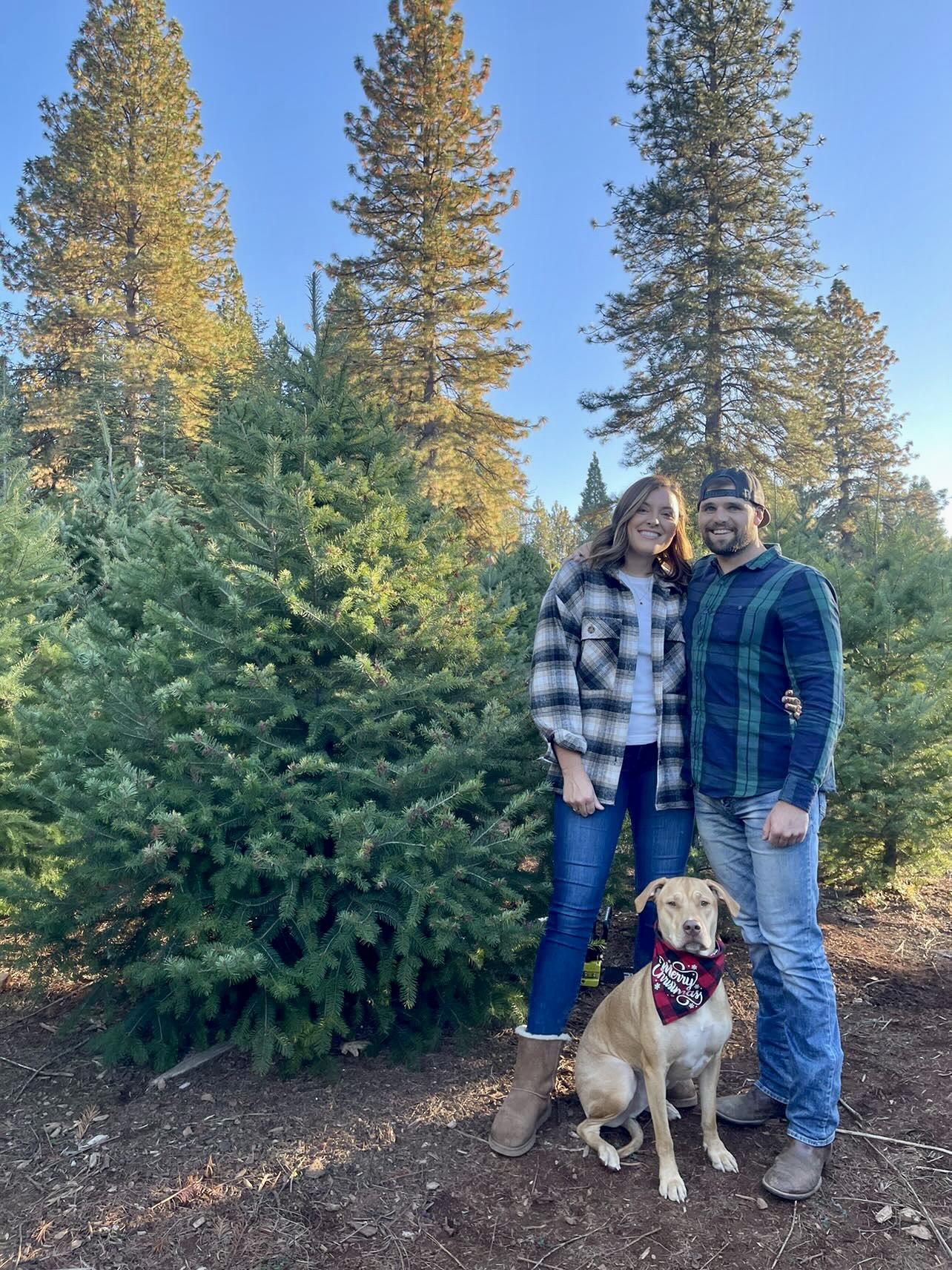 Cutting down our first Christmas tree.