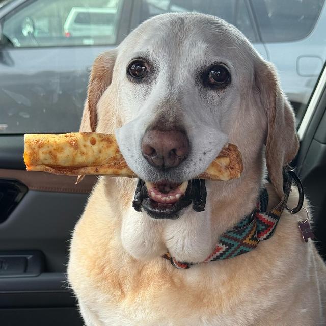 Year's Supply Of Dog Treats