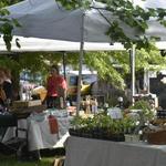 Rogue Valley Growers & Crafters Market Downtown Ashland