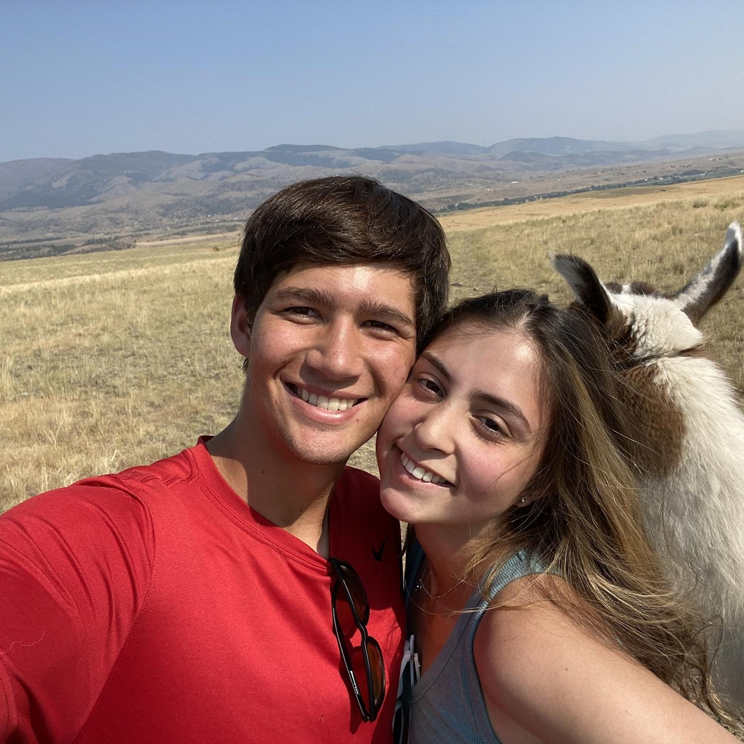 Hiking with llamas in Montana!