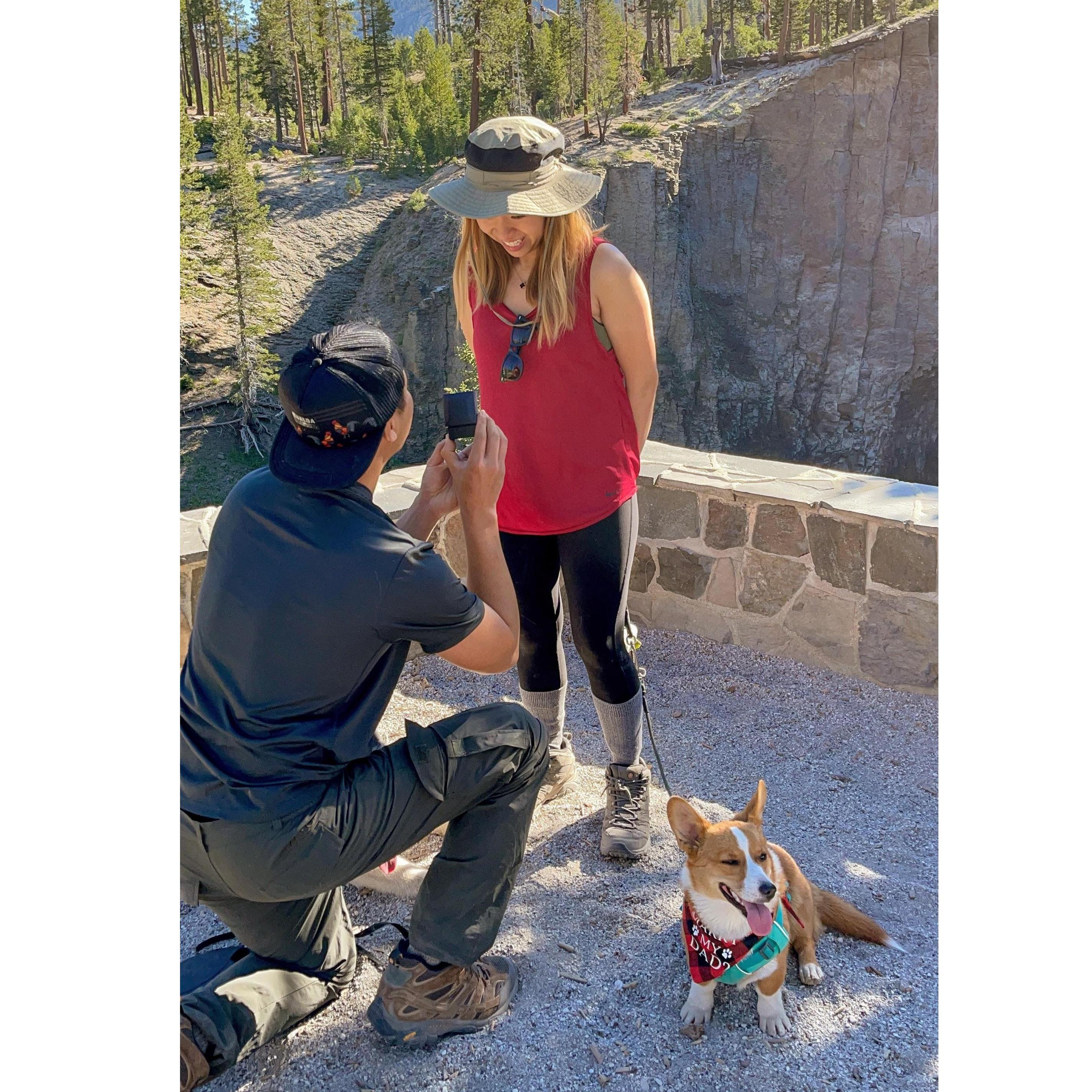 Proposal Day! June 26th, 2021