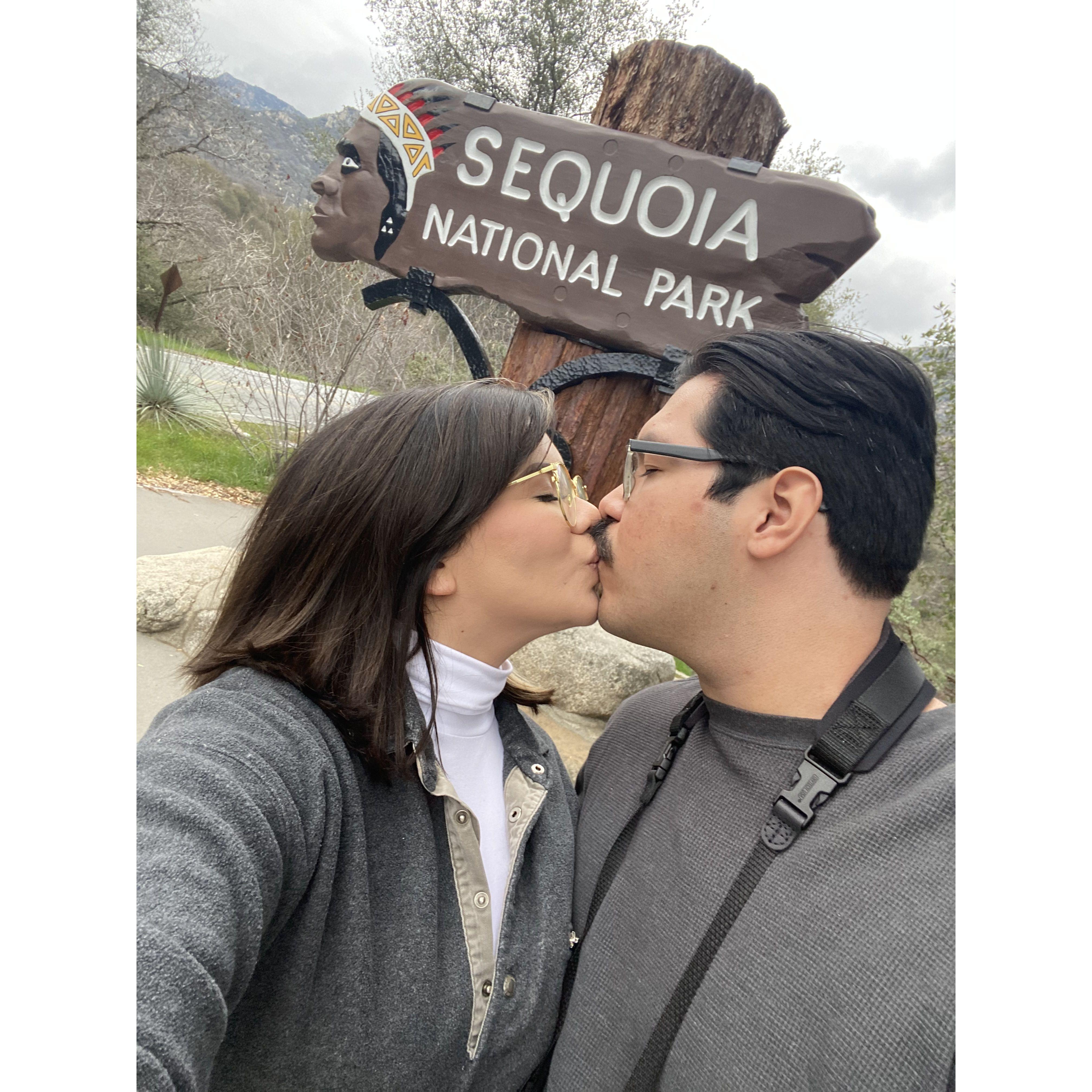 Sequioa Trip