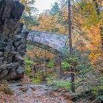 Wissahickon Valley Park
