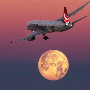 Round Trip Plane Ticket(s)