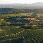 Chalk Hill Estate Vineyards