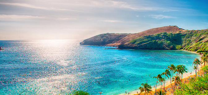 4f8d9bc0-f9a7-4e26-aec8-72c888071f1e