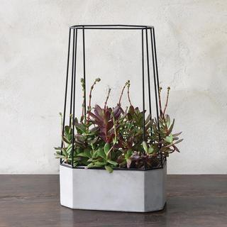 Indio Planter