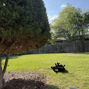 New Home Landscape Projects