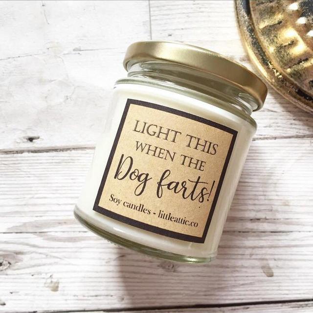 Funny Candle, Dog Lover Gift, Dog Candle, Pet Odor Eliminator, Animal Lover Gift, Pet Candle, Funny Gift, Dog Farts, Scented Candle, Candles